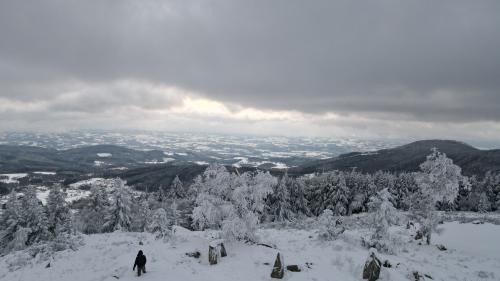 DJI_2311.JPG